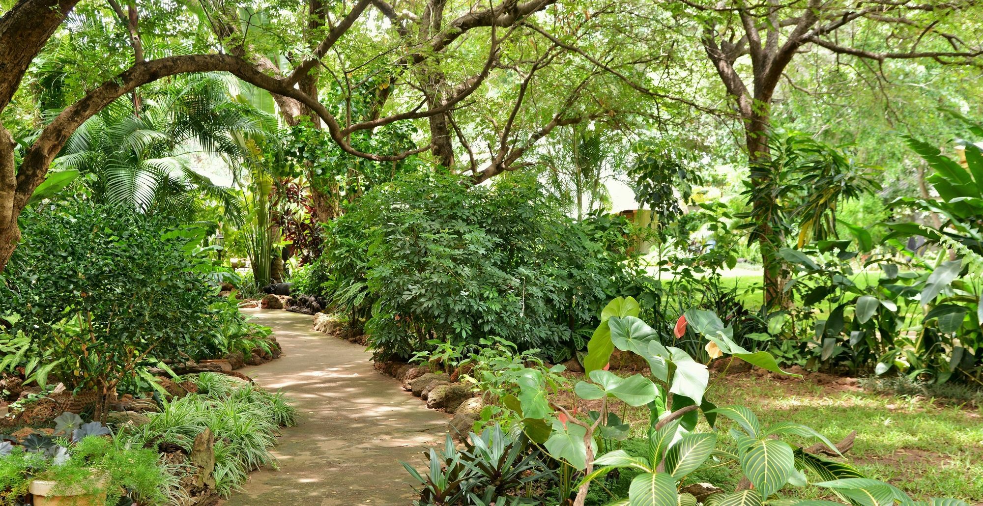 Bayete Guest Lodge ヴィクトリア・フォールズ エクステリア 写真