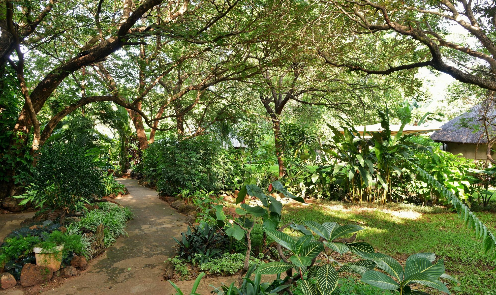 Bayete Guest Lodge ヴィクトリア・フォールズ エクステリア 写真