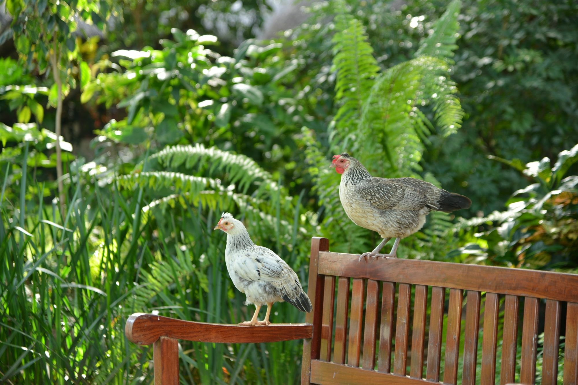 Bayete Guest Lodge ヴィクトリア・フォールズ エクステリア 写真